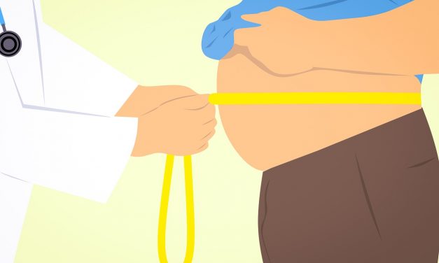 Burn The Fat, Feed The Muscle Review – The Ultimate Fat Loss Guide